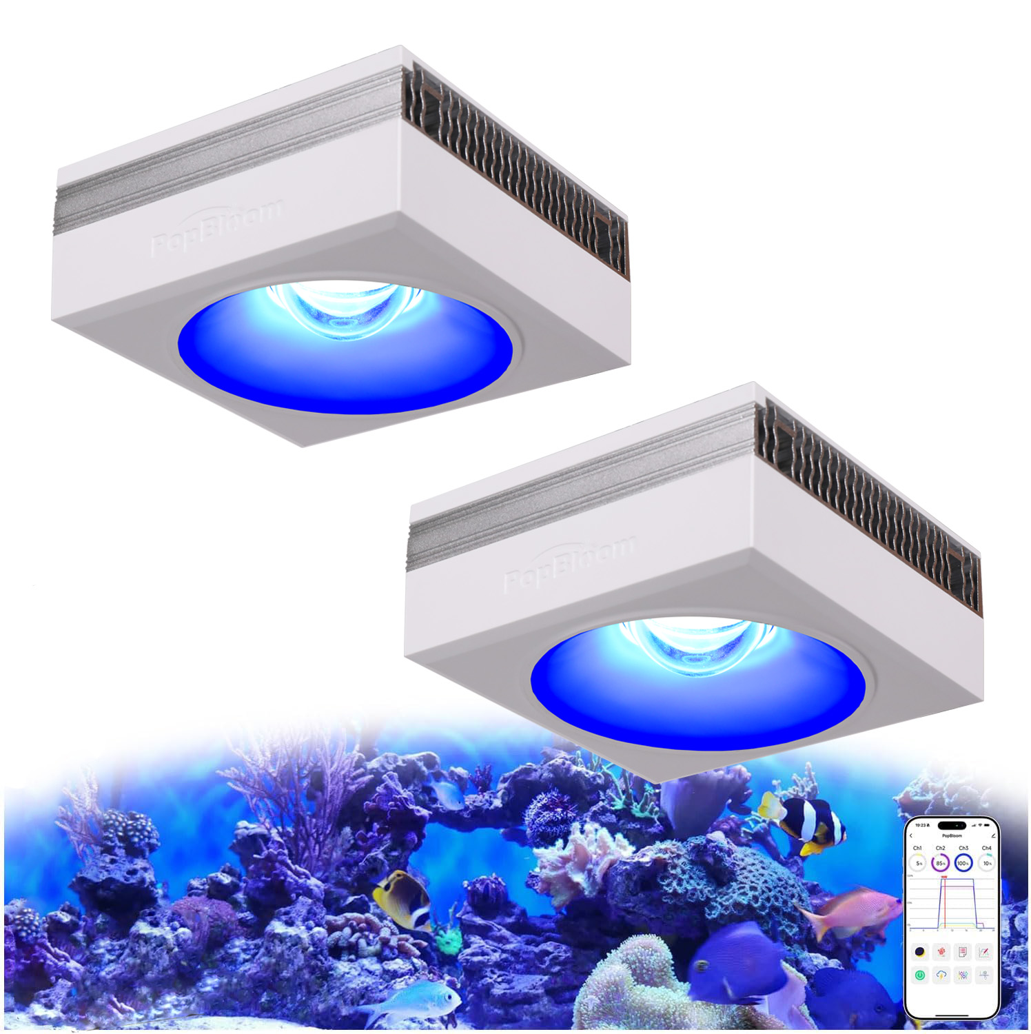 Marine X Aquarium - НОВИНКА: Светильник для аквариума PopBloom RL90