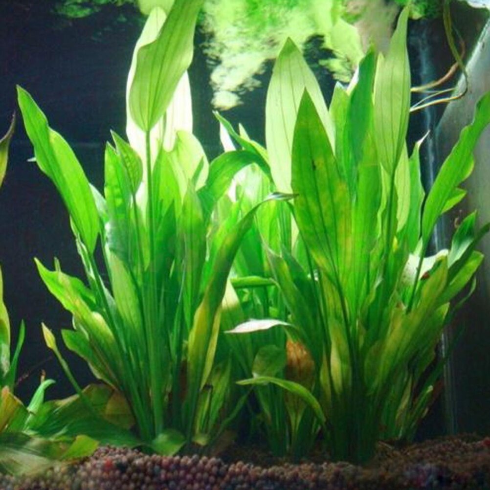 Marine Aquarium All In One - 15 см искусственный декор для аквариума
