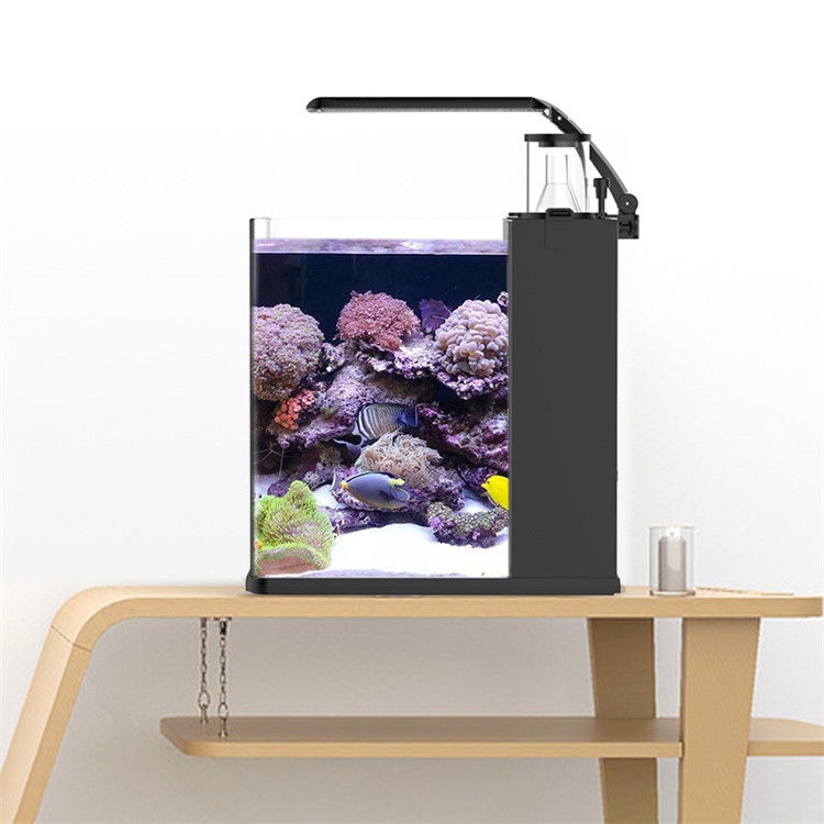 Аквариум Skynuo Ultra Clear Gl – обзор и цена Aquarium Marine Clearwater