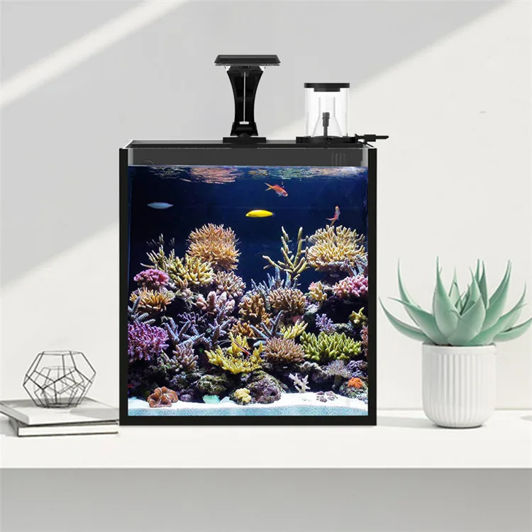 Последняя модель из прозрачног – обзор и цена Aquarium Marine Clearwater