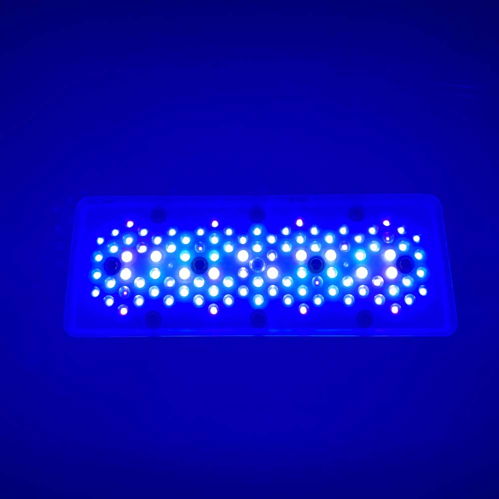 A8se A8PRO III BLUE 240W Морск – обзор и цена Aquarium Blue Marine Reef
