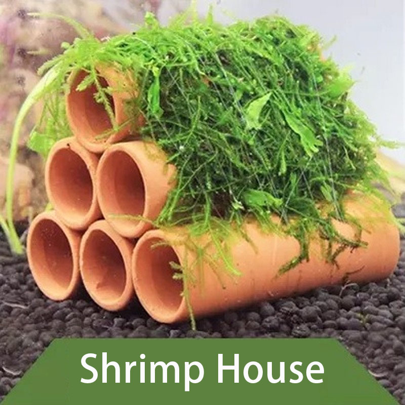 Глиняное украшение для аквариу – обзор и цена Marine Aquarium All In One