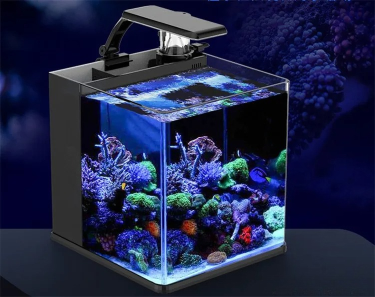 Ультрапрозрачный мини-аквариум – обзор и цена Aquarium Marine Clearwater